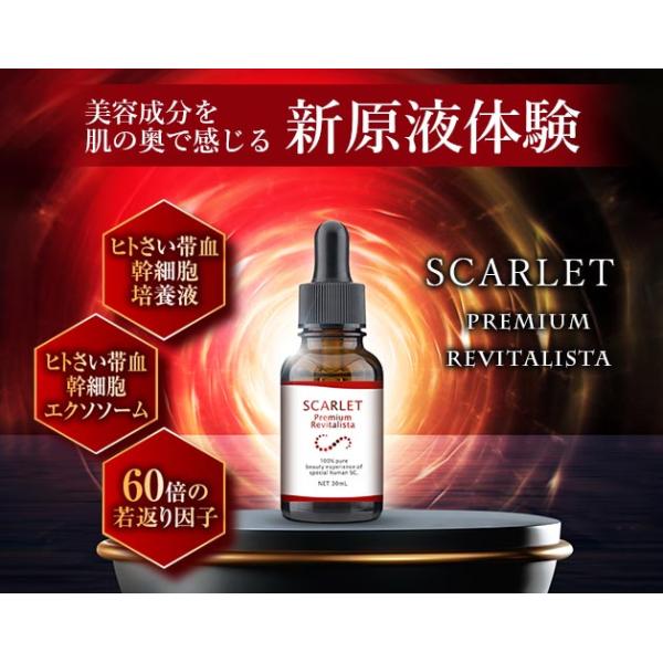美容液 原液 シミ シワ たるみ エクソソーム エイジングケア化粧品 40