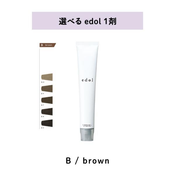 edol 【 選べる 1剤 】 エドル base color B / brown ルベル LebeL 80g