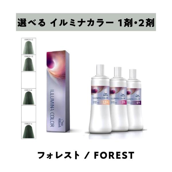 【 選べる 1剤 2剤 セット 】 ウェラ　イルミナカラー　80ｇ　フォレスト　＆　イルミナクリームディベロッパー　オキシ　1000ml