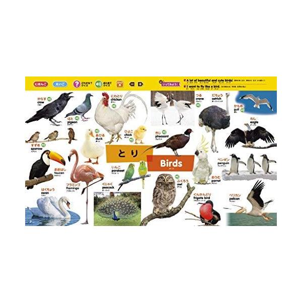 タッチペンで音が聞ける はじめてずかん1000 英語つき バラエティ 代購幫