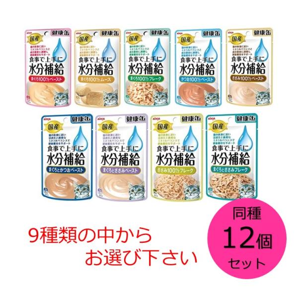 アイシア（AIXIA） 国産 健康缶パウチ 水分補給 同種12個セット 9種類
