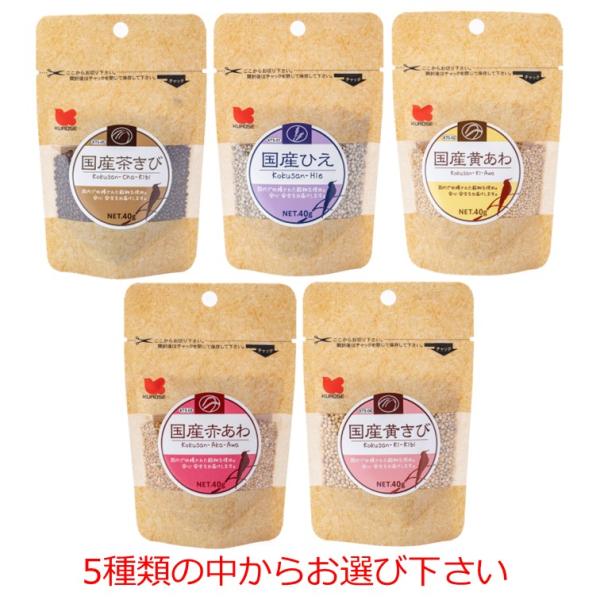 黒瀬ペットフード 国産 商品数1個 茶きび ひえ 黄あわ 赤あわ 黄きび 5種からお選び下さい 40ｇ 小鳥 餌 クロセ KTS-01〜KTS-05