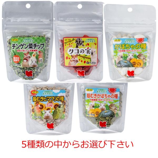 黒瀬ペットフード 自然派宣言 商品数1個 チンゲン菜チップ　クコの実　殻付きかぼちゃの種　殻むきヒマワリの種　殻むきかぼちゃの種 5種からお選び下さい