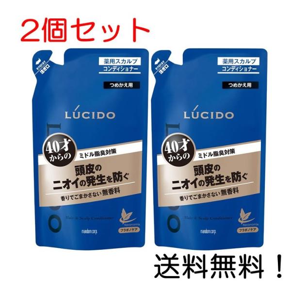 ルシード 薬用ヘアスカルプコンディショナー つめかえ用 380g 医薬部外品 2個セット :ONP-4902806122046-2:スリーエスマート 通販 ルシード 薬用ヘア&スカルプコンディショナー つめかえ用 380g ルシード コンディショナー