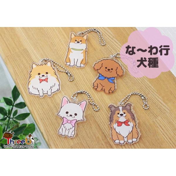 わんちゃんの幸せが、あなたの幸せになる場所。ペット雑貨のお店ThreeB。一緒に過ごす時間をもっと素敵にする、とっておきのアイテムを探しにきてください。思わずきゅんとしちゃう可愛さ♪ぜひうちの子を見つけてくださいね！プレゼントにも最適です。