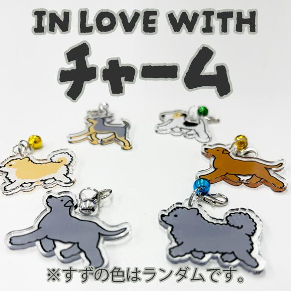 わんちゃんの幸せが、あなたの幸せになる場所。ペット雑貨のお店ThreeB。一緒に過ごす時間をもっと素敵にする、とっておきのアイテムを探しにきてください。人気の【IN LOVE WITH】のデザインが、ご要望にお応えしてチャームになりました！...