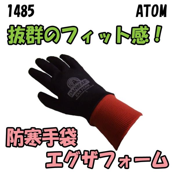 1485@GOUtH[@Ɨph܁@Ag