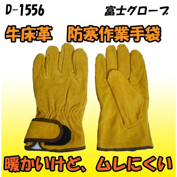 D-1556@hƎ܁@HOT ZONE@@Nс@xmO[u