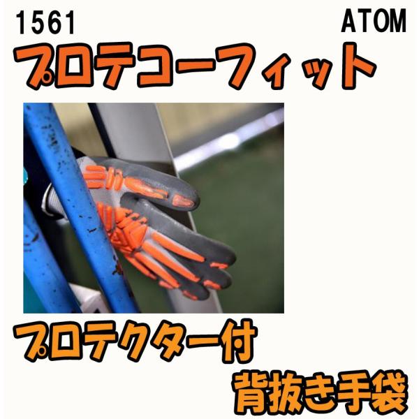 1561@veR[tBbg@bی@w܁@Ag