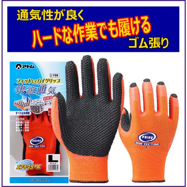 158@GAeN^[w@S܁@{@Ag