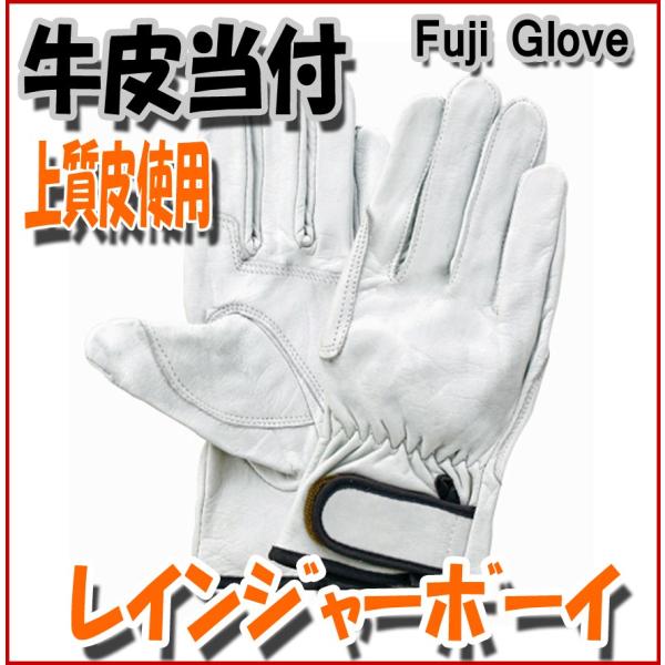 ܁@CW[{[C@Aet@xmO[u@v@㎿@