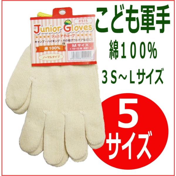 515@ǂR@WjAO[u@RrTCYk܂Ł@qR@ׂ~߂Ȃ