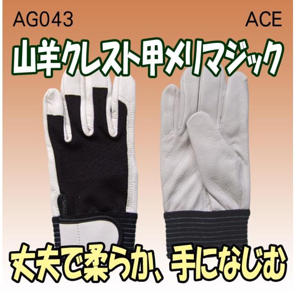 AG043@RrNXgb}WbN@Rr܁@`bd@쏤