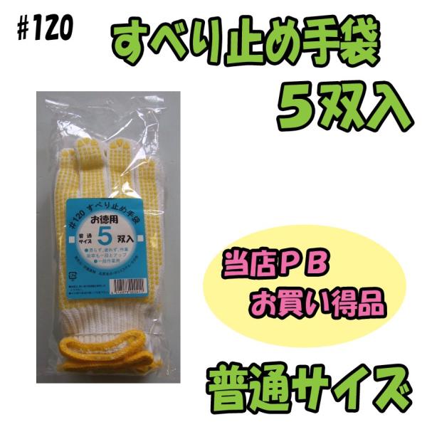 120@ׂ~ߎ܁@ʃTCY@5o@R