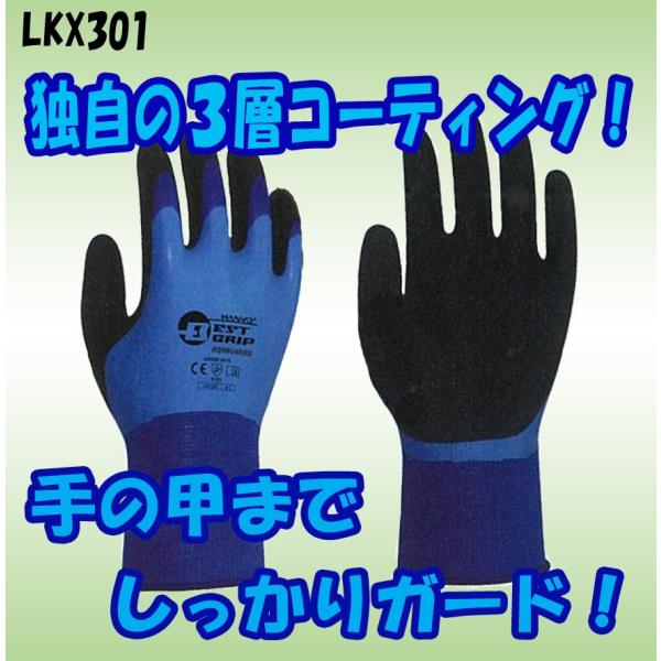 LKX301@ANAK[h@VRSR[eBO܁@HANVO@n{