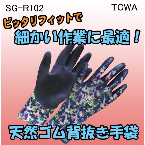 SG-R102@VRS@w܁@O@aR[|[V