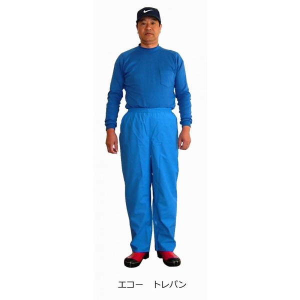 YpH@GR[@gp@ȂY{@Y{̂݁@