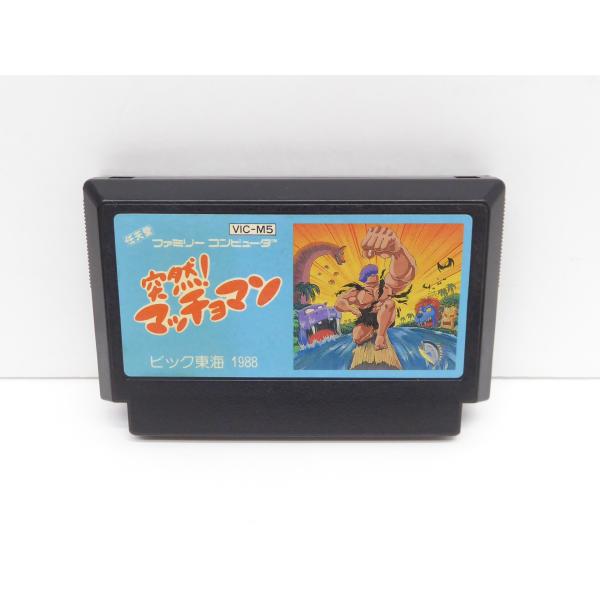 ファミコン　ソフト thrift-webshop_a-037-we1433-19