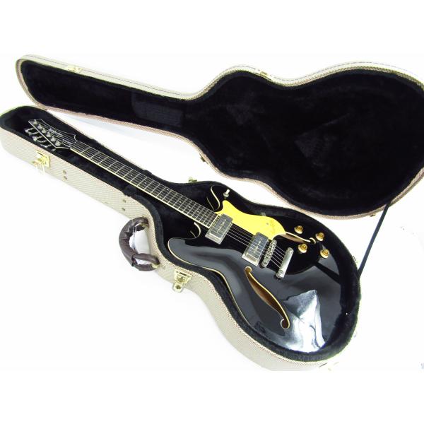 Hagstrom ハグストロム Viking IIP セミアコ ハードケース付き Hagstrom ハグストロム Viking IIP セミアコ ハードケース付き
