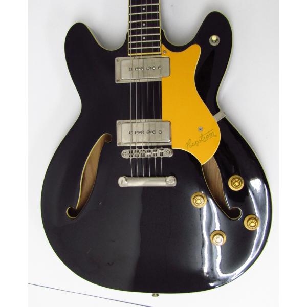 Hagstrom ハグストロム VIKING II P エレキギター ケース付き 楽器 