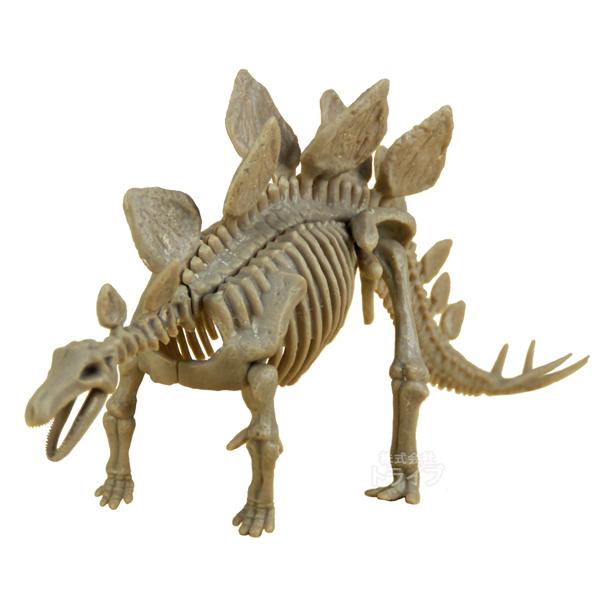 恐竜発掘セット ステゴサウルス 骨格模型 CL-123K 020027 ラッピング
