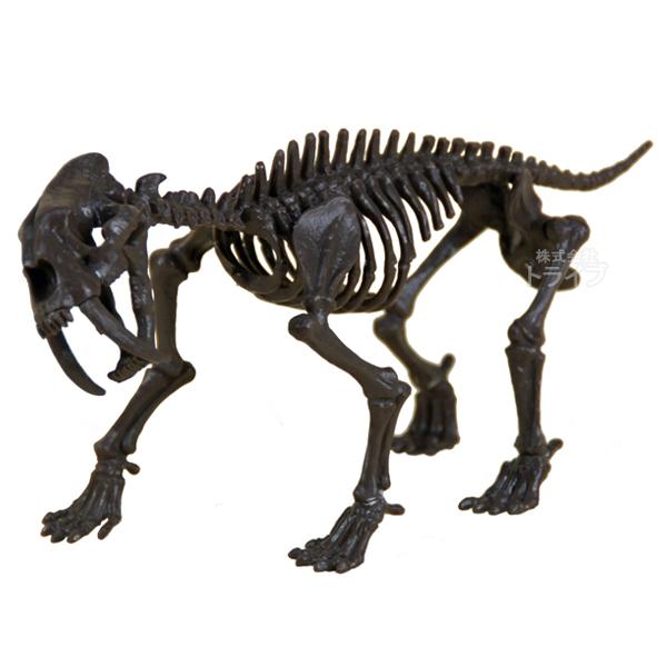 氷河期発掘セット サーベルタイガー 骨格模型 CL-137K 020140