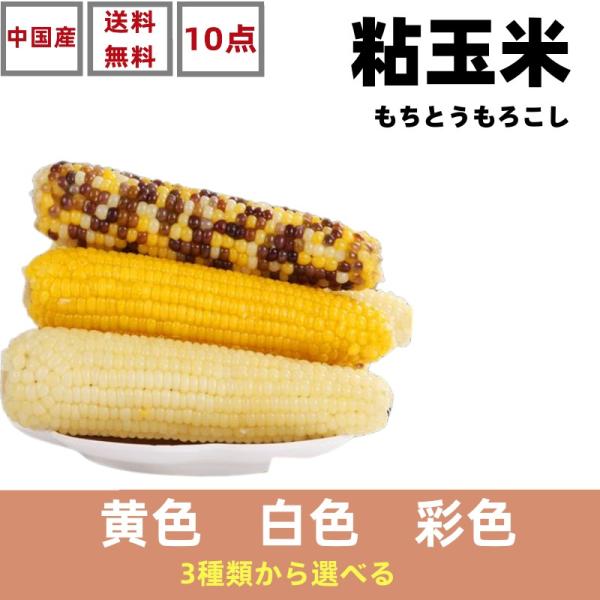 送料無料 3種類色選べて 合わせ10袋セット 常温 白玉米 真空 黄玉米 黒玉米 苞米 玉米 粘玉米 トウモロコシ とうもろこし Yumi10 2 天華中華物産店 通販 Yahoo ショッピング