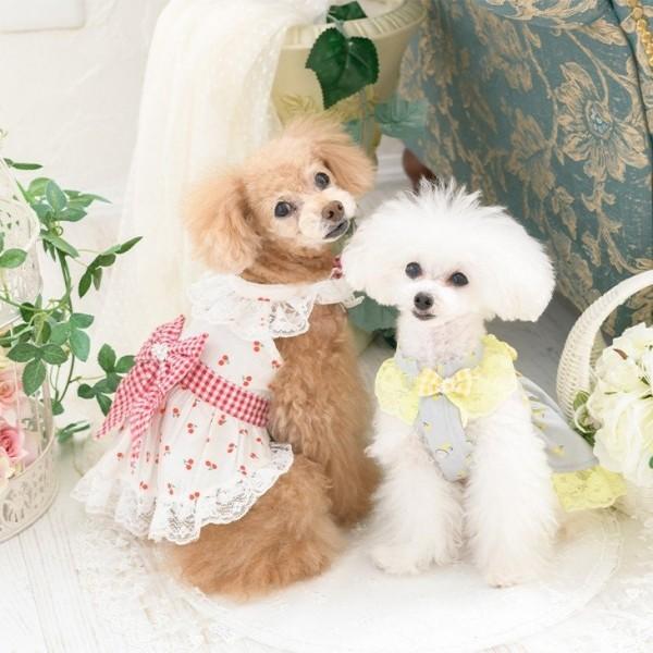 きゃんナナ Cannana さくらんぼ柄ワンピース 小型犬 犬服 ワンピース ドレス セレブ 193 Tiara Pets Japan 通販 Yahoo ショッピング