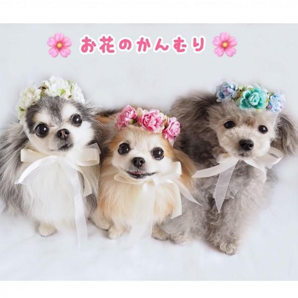 オッティ Otty フラワー ティアラ M 小型犬 バレッタ ヘアピン ヘアーアクセサリー 061 M Tiara Pets Japan 通販 Yahoo ショッピング