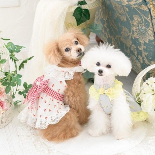 30 Off きゃんナナ Cannana さくらんぼ柄ワンピース 小型犬 犬服 ワンピース ドレス セレブ 0621 Tiara Pets Japan 通販 Yahoo ショッピング