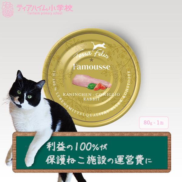 テラフェリス ファムース ラビット 猫用 80g（6缶までネコポス配送） (保護ねこ支援) (09591)