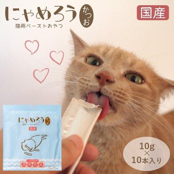 (保護ねこ支援) 犬猫用ペーストおやつ にゃめろう かつお味 (10g×10本)（6袋までネコポス配送）