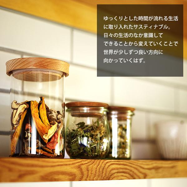 tiger-online_jpi-a100_1_d_20231110172220