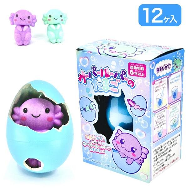 ウーパールーパーのたまご【不良対応不可】
