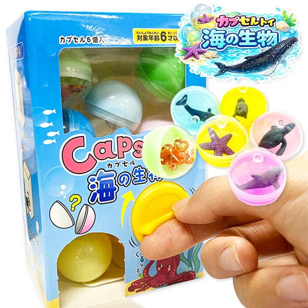 カプセルトイ 海の生物【不良対応不可】 : こどもモールタイガー