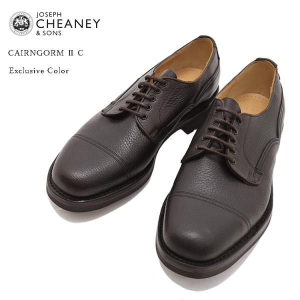 JOSEPH CHEANEY ダークブラウン スエード　フルブローグ　6 JOSEPH CHEANEY ダークブラウン スエードフルブローグ6