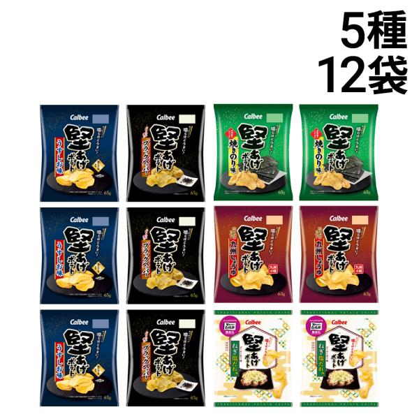 カルビー 堅あげポテト 5種 計12袋 食べ比べ 詰め合わせ アソート セット ( うすしお ブラックペッパー 焼きのり 九州しょうゆ ねぎ塩だれ ) まとめ買い