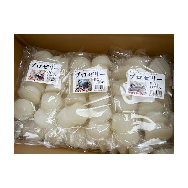 ■出品内容：KBファーム プロゼリー60g 12個入り↓メーカーHPより引用↓↓◆ブリーディングに最適です！プロブリーダーのご要望に応えるべく開発された高タンパク純国産昆虫ゼリー。天然果汁をはじめ、各種タンパク質、必須アミノ酸、グルコース、...
