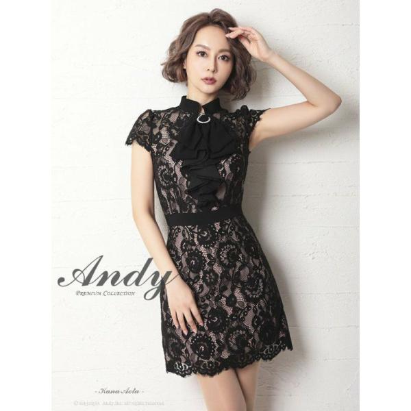 新品未使用未開封タグ付き　Andy 総レースブラックドレスM 6300_thumbnail.jpg