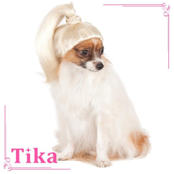 メール便送料無料 犬 服 アリエル コスプレ ペット 衣装 ドッグ コスチューム かつら付き リトルマーメイド ドッグ コスチューム 早割クーポン Colledeglidei Com