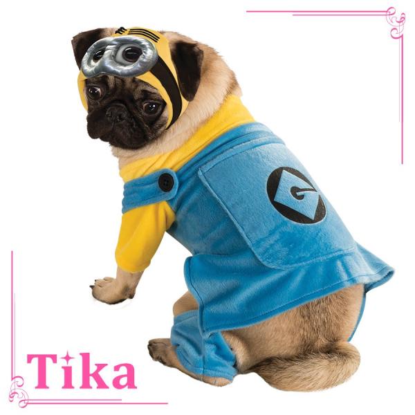 ペット コスプレ 犬用 Tika ティカ 2点set 怪盗グルーシリーズ ミニオンズ ドッグコスチューム Sサイズ Mサイズ ウェア ヘッドピース 小型 犬 中型犬 犬用衣装 La Hwp7800 ドレスショップ Tika 通販 Yahoo ショッピング