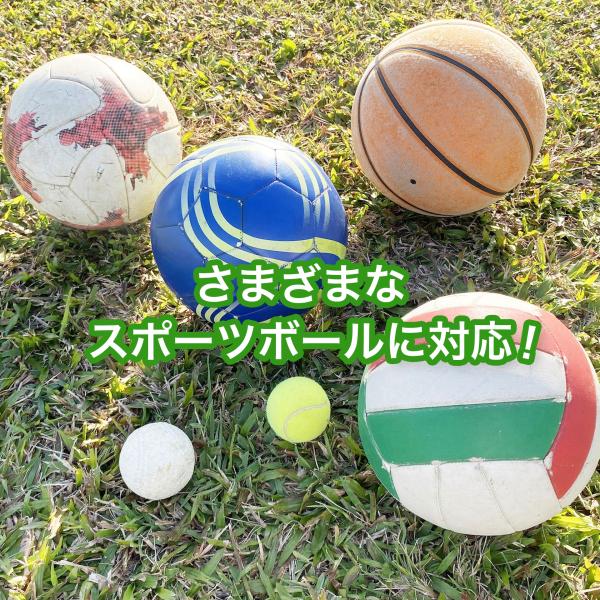 tinotenda_a0208_3_d_20241020161841