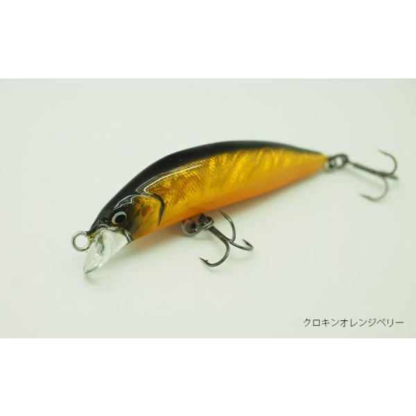 レイチューン SA50RS クロキンオレンジベリー / ネコポス便