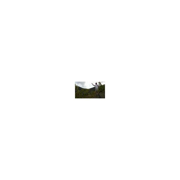 �h���[�k�E�J���e���� �@�Z�u���E�T�~�b�g 2021�^Dom Carterole Seven Summit ���i�摜4