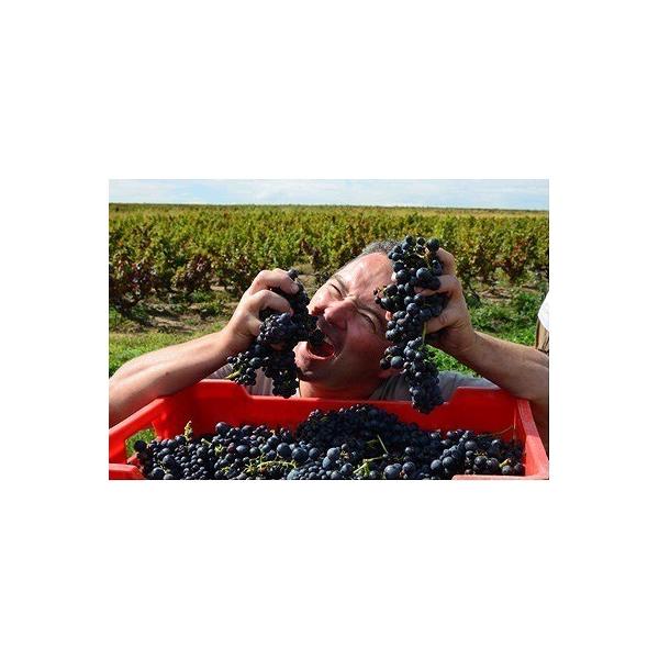 �N���X�g�t�E�p�J���@�u���S�[�j���E�u����BIB 2024 �y5���b�g���z�^CHRISTOPHE PACALET�@Bourgogne Blanc  BIB ���i�摜4