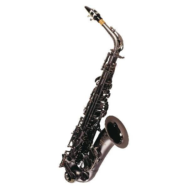 キャノンボール アルトサックスの人気商品 通販 価格比較 価格 Com