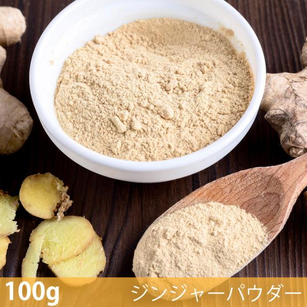 ジンジャーパウダー Ginger Powder スパイス (100g)ジンジャーパウダー ハーブ 香辛料 エスニック料理 アジア食材