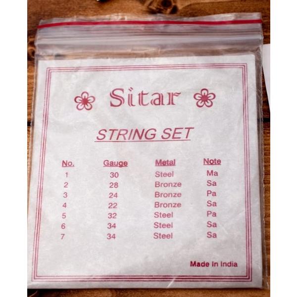 弦張り替え済◎ BINA社 シタール ケース付き 美品 弦張り替え済◎ BINA社 シタール ケース付き 美品 弦張り替え済
