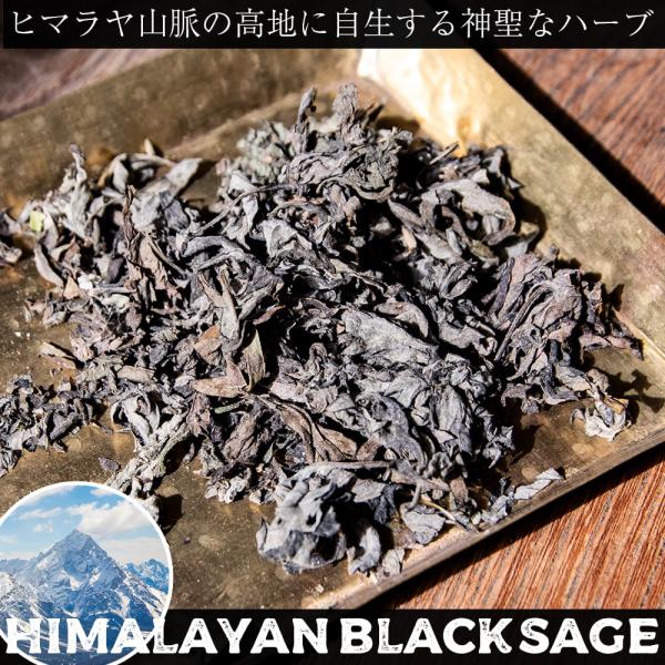 dream weed ブラックセージ black ヒマラヤン 神聖なるヒマラヤ山脈に自生する天然のハーブ スマッジング 浄化 sage