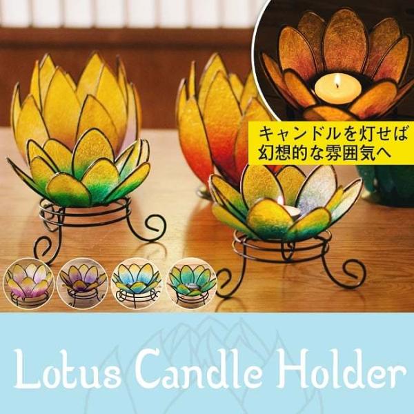 ランタン 花の人気商品 通販 価格比較 価格 Com